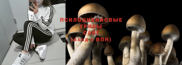ПСИЛОЦИБИНОВЫЕ ГРИБЫ Бронницы